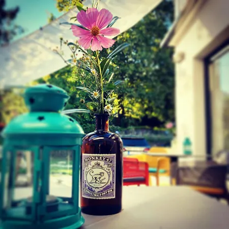 Couette-café Patent, Your In Badacsony