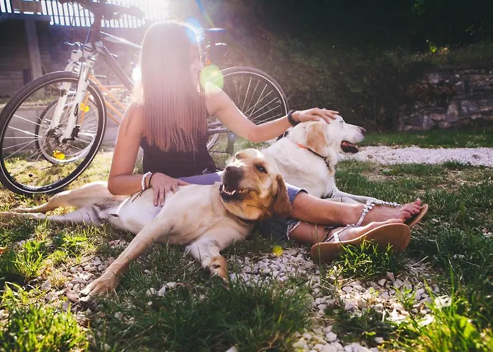 Patent, Your In Badacsony Badacsonytomaj